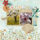 Spring Layout - lots of elements
